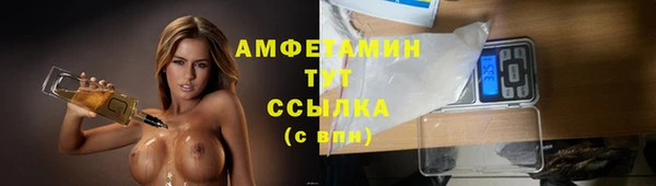 молекула духа Бородино