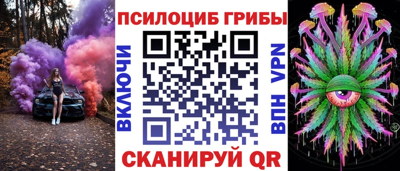 Псилоцибиновые грибы мухоморы  Купить закладки  Дигора 
